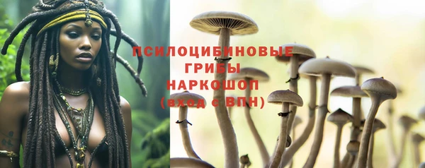 спайс Каменка