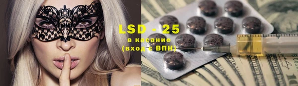 спайс Каменка