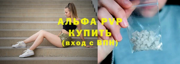 спайс Каменка