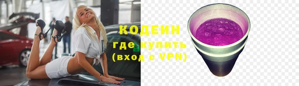 спайс Каменка
