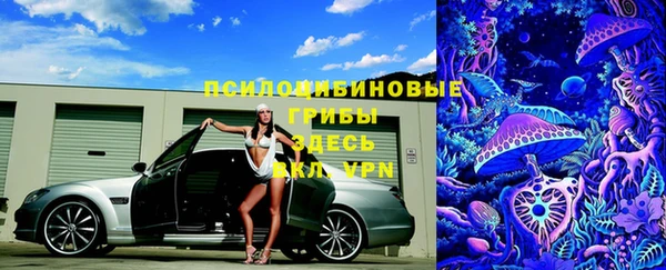 винт Каменногорск