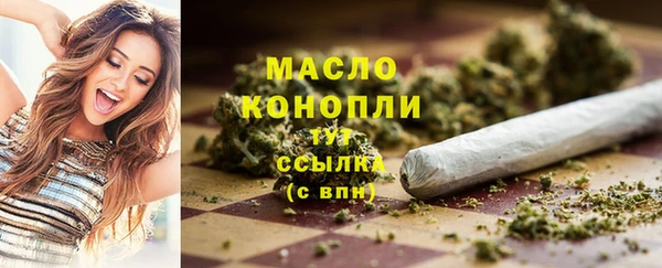 спайс Каменка