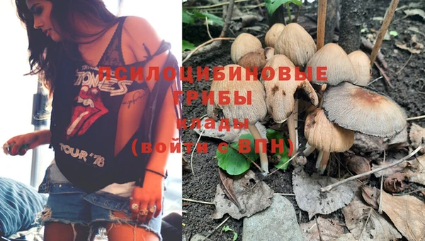 спайс Каменка