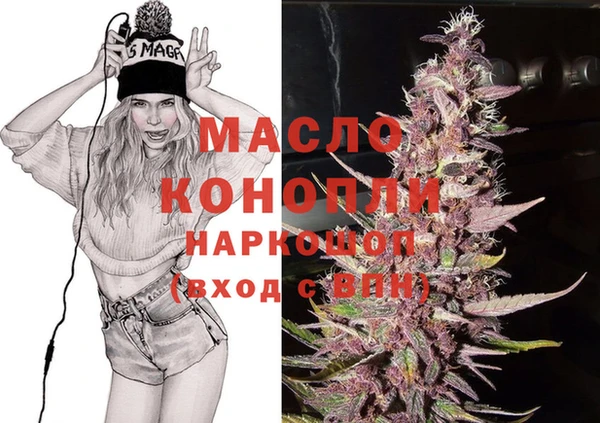 спайс Каменка