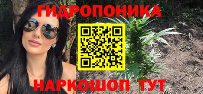 шишки Краснознаменск