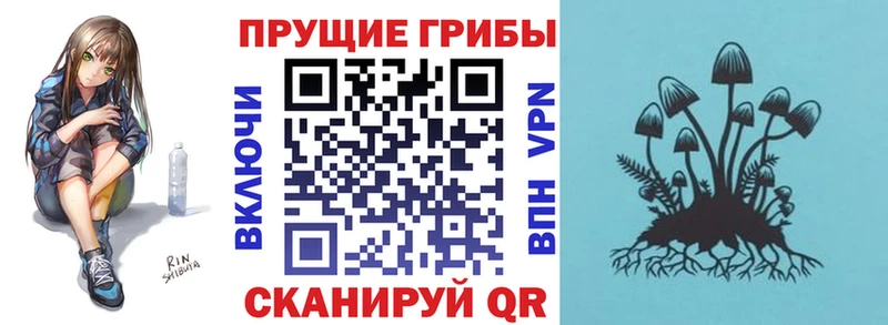 Галлюциногенные грибы Magic Shrooms  Кизилюрт 