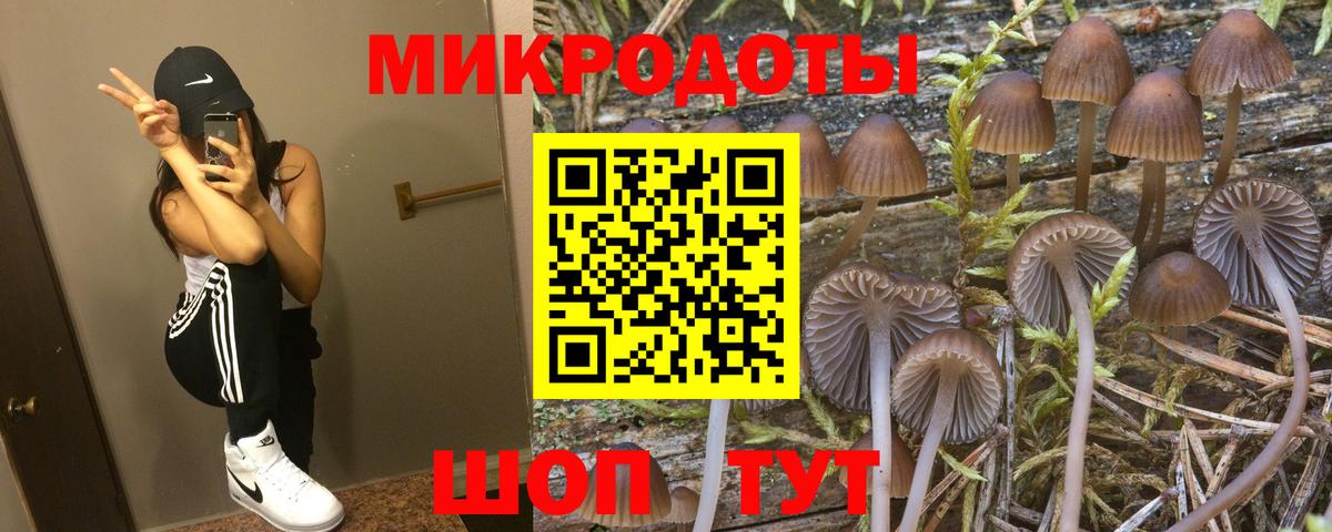 Псилоцибиновые грибы прущие грибы Кизилюрт