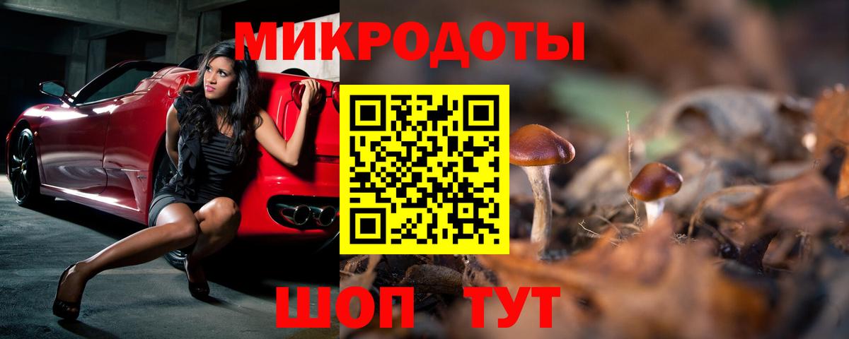 где можно купить наркотик  Вход с VPN  Кизилюрт  Псилоцибиновые грибы MAGIC MUSHROOMS 