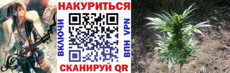 МАРИХУАНА гибрид  Кизилюрт 